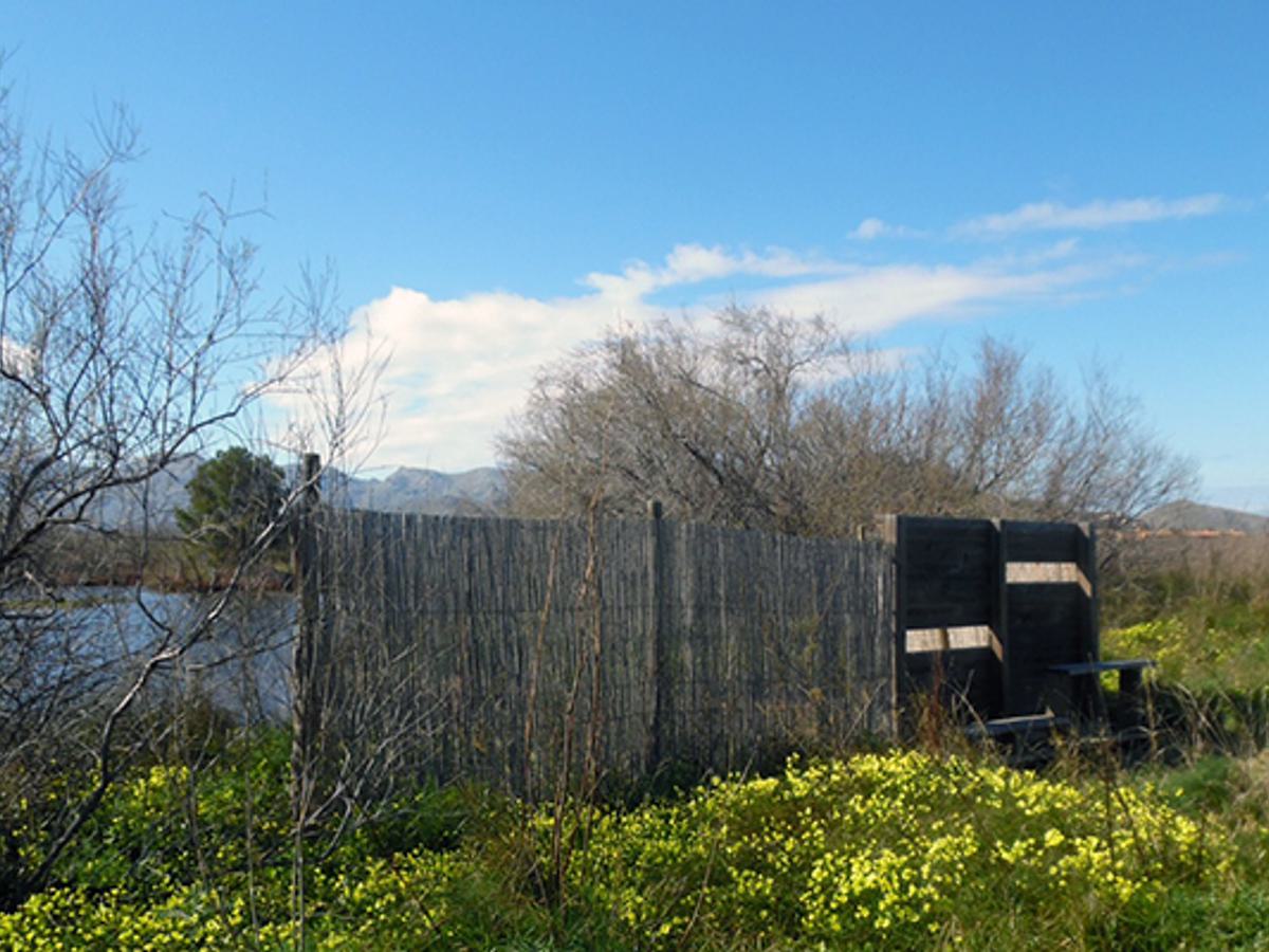 S’Albufereta Nature Reserve