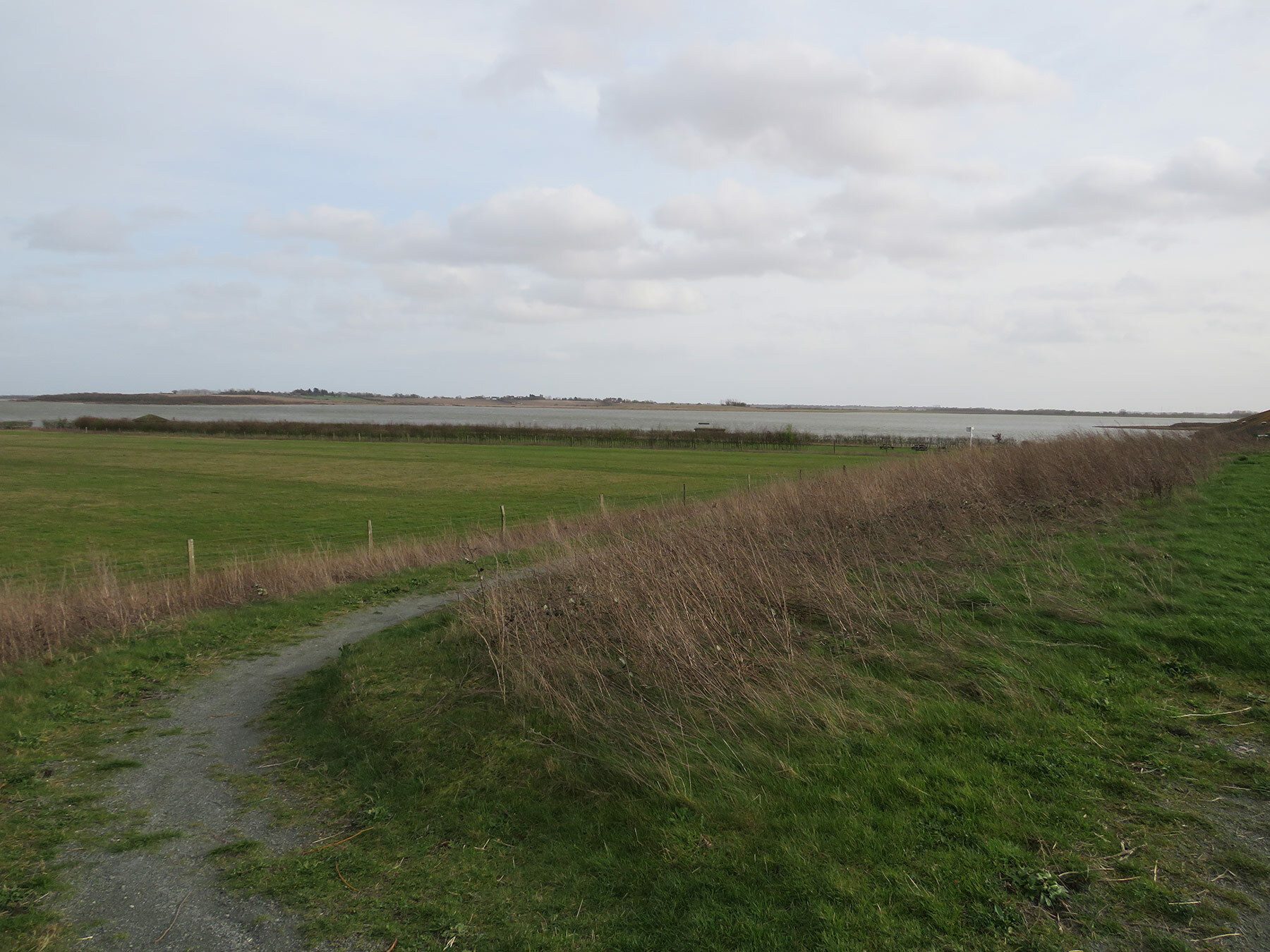 Abberton Reservoir