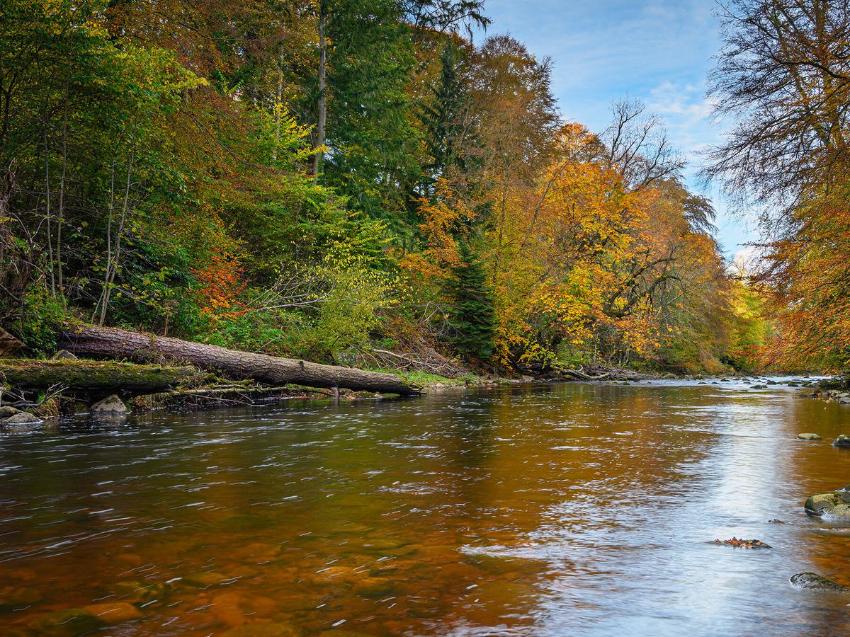 Allen Banks - National Trust