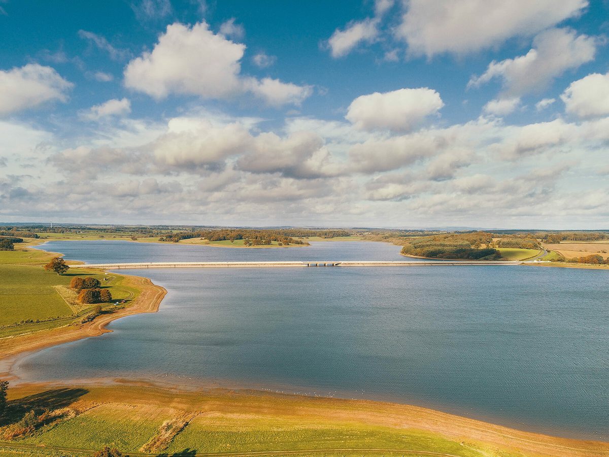 Blithfield Reservoir Birdfact