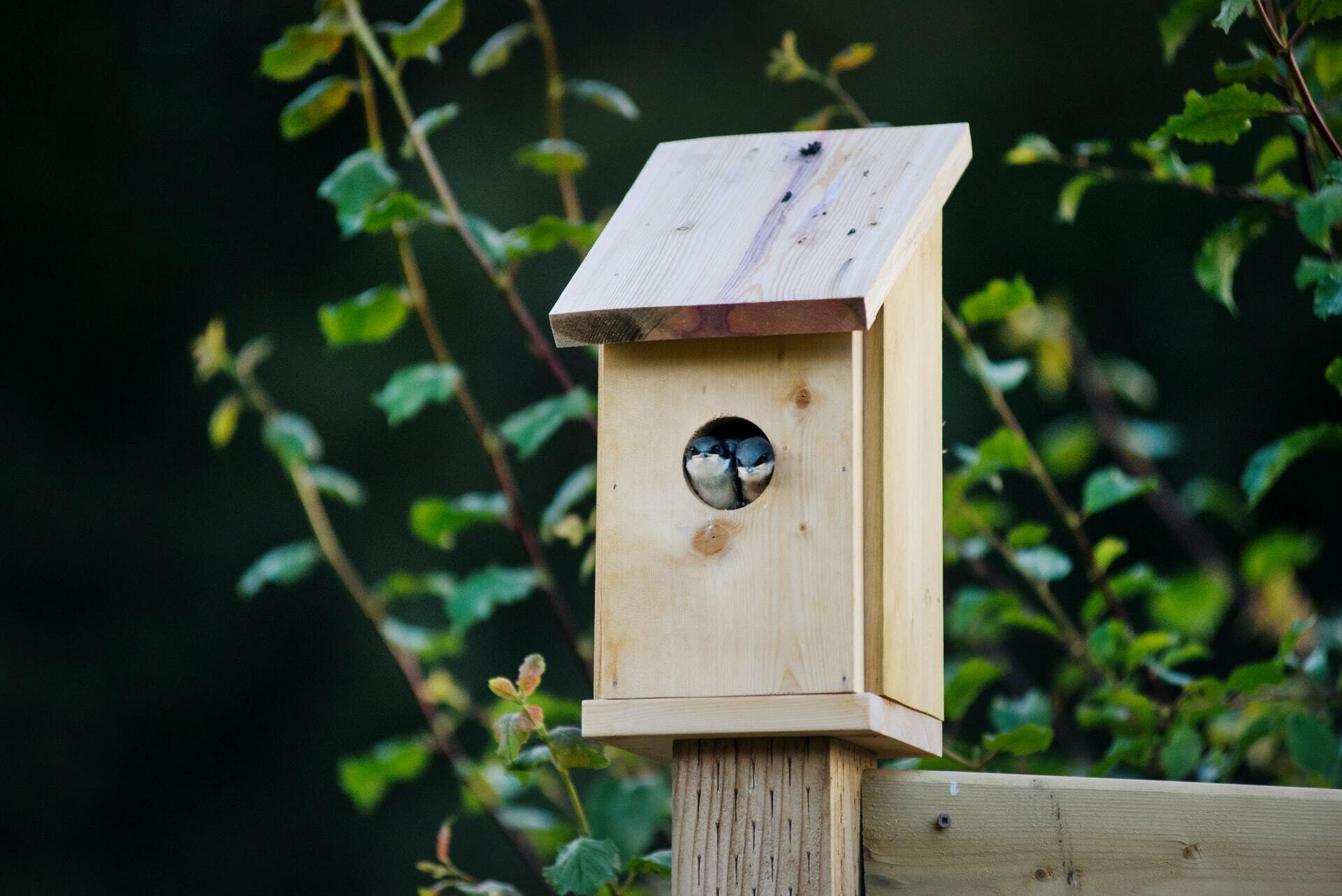 Nesting boxes