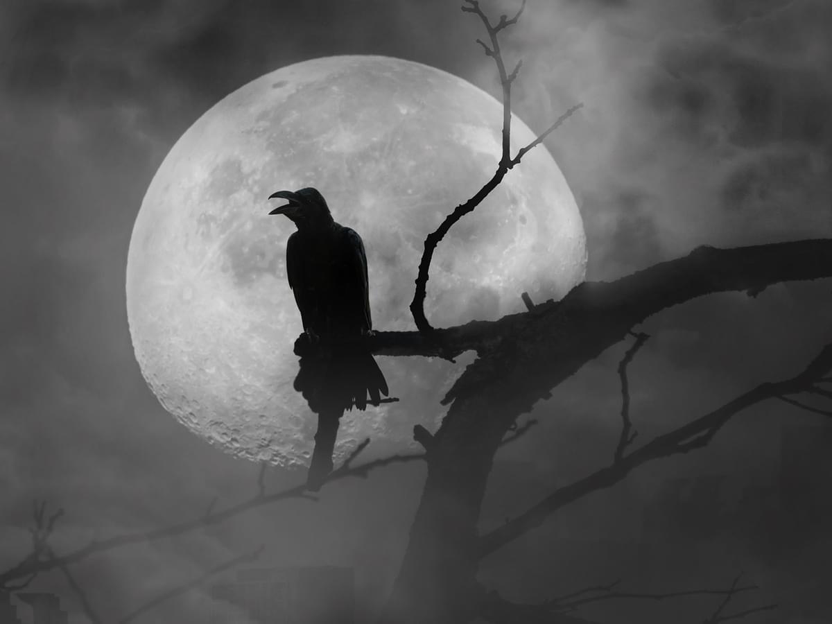 Feathers & Frights: The Role of Birds in Horror Stories and Films
