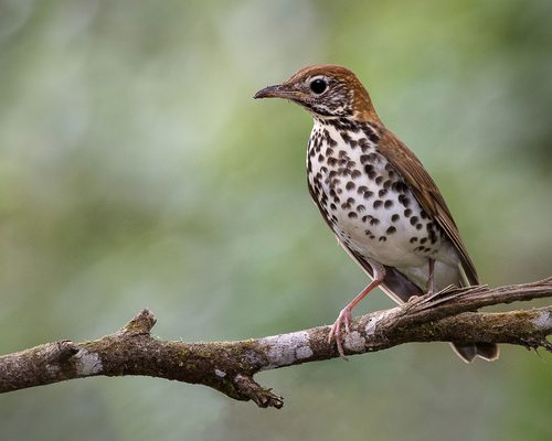 District of Columbia